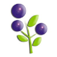 蓝莓资讯(转发文章赚钱)