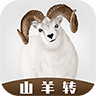 山羊转(转发赚钱)