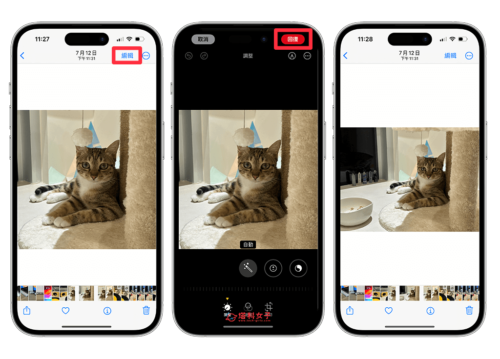 iPhone 照片裁切功能可快速裁切 iPhone 照片并选择照片比例 (iOS17)