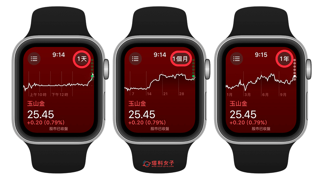 Apple Watch 看股票教程，3 个方法在 Apple Watch看盘、关注即时股价