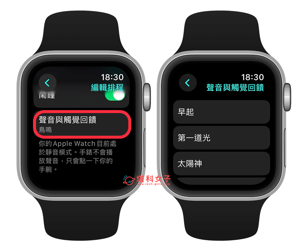 Apple Watch 起床闹钟铃声：声音与触觉回馈