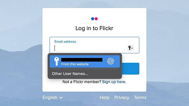 Safari 18 新功能曝光 整合 AI 智能搜索及清除广告功能