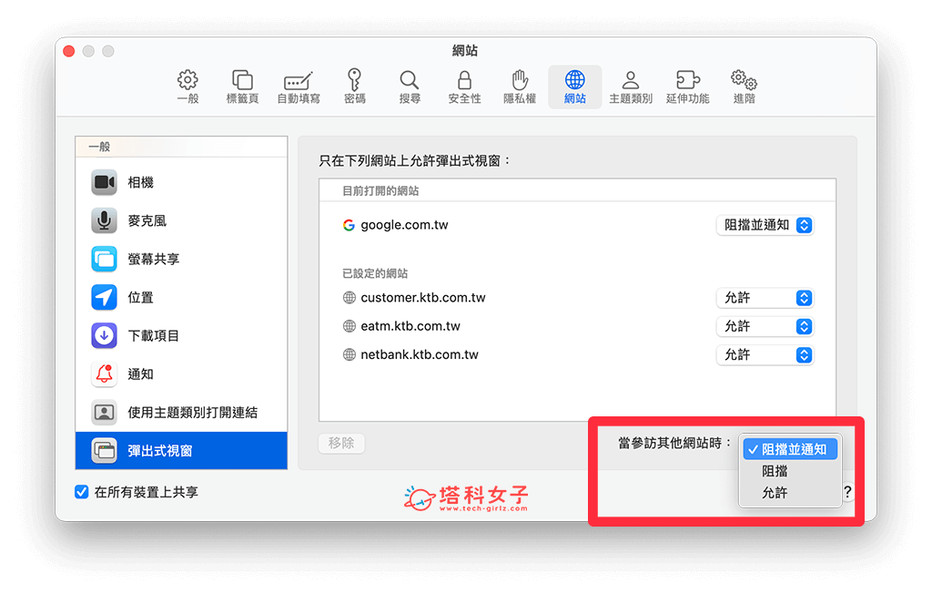 允许或阻挡 Mac Safari 弹跳窗口：设置