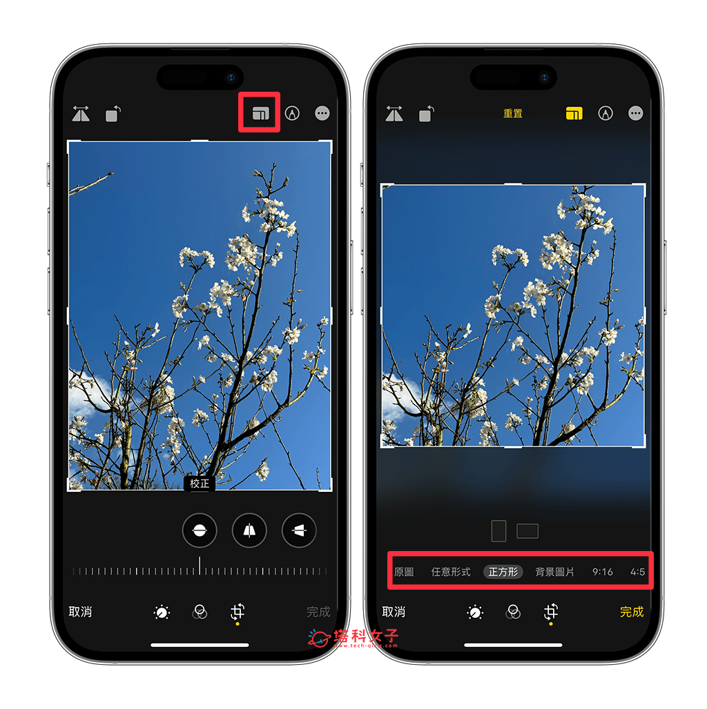 iPhone 照片裁切教程，快速在 iPhone 裁剪照片及影片的比例尺寸