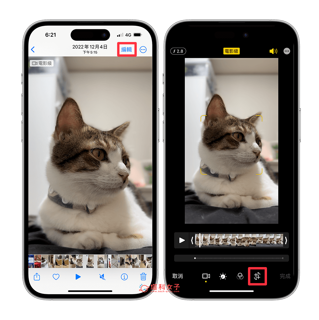 iPhone 照片裁切教程，快速在 iPhone 裁剪照片及影片的比例尺寸