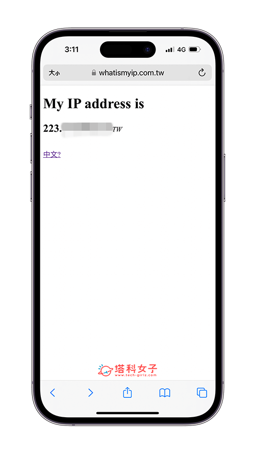 iPhone IP 查询教程，2 个方法快速查询苹果手机 IP 位址