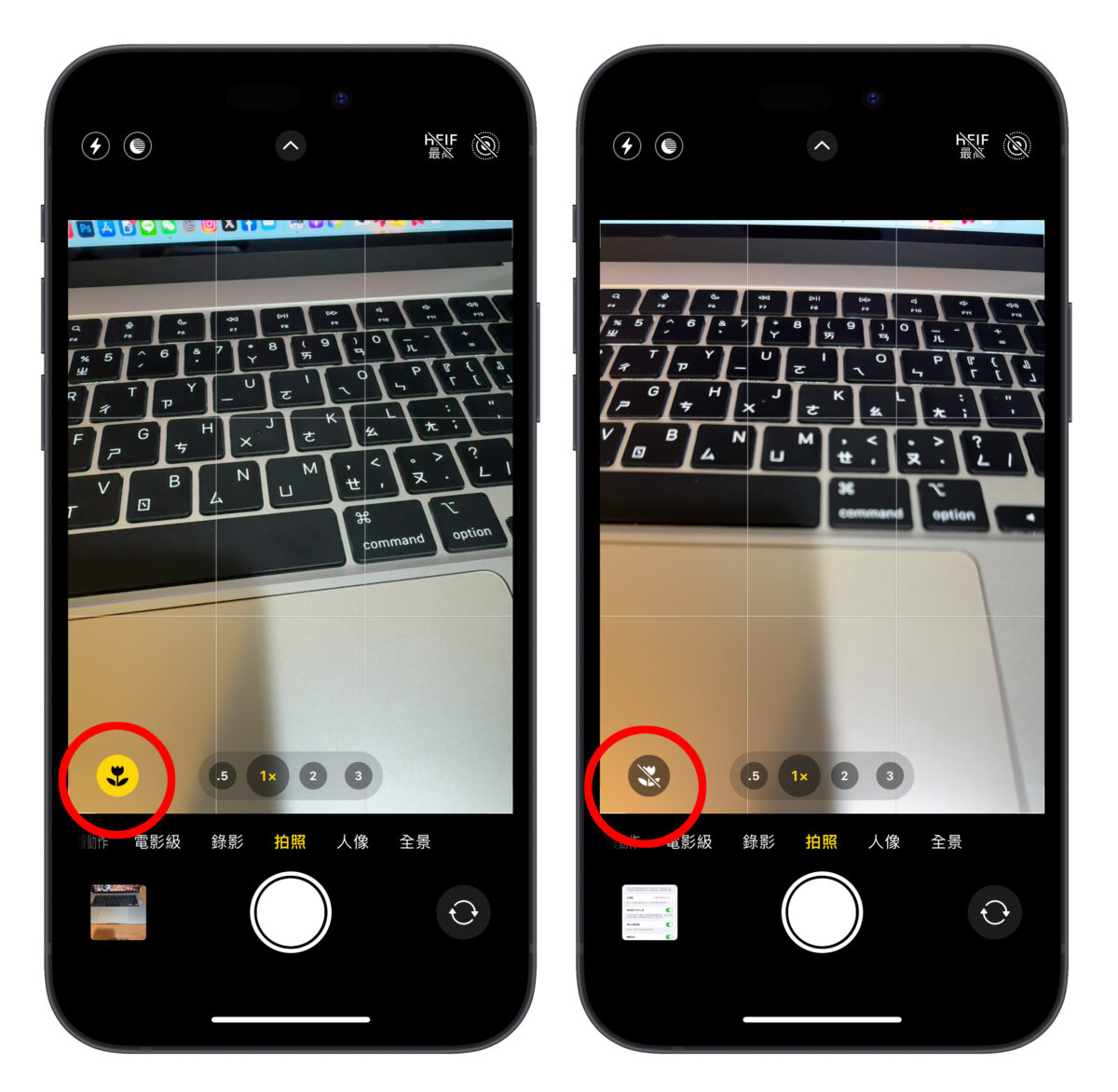 iOS iPhone iPhone 15 Pro 相机闪一下 相机 微距摄影
