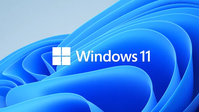 小心！ 特定 SSD 安装 Windows 11 24H2 会出现蓝白当机画面 - 安软网