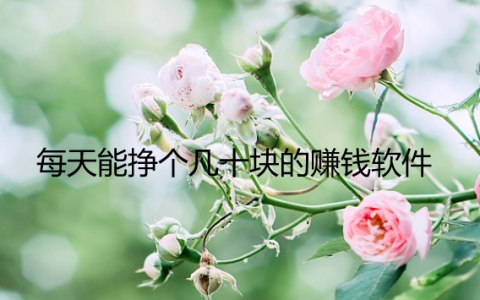 一天几十元的挣钱软件，每天能挣个几十块的赚钱软件