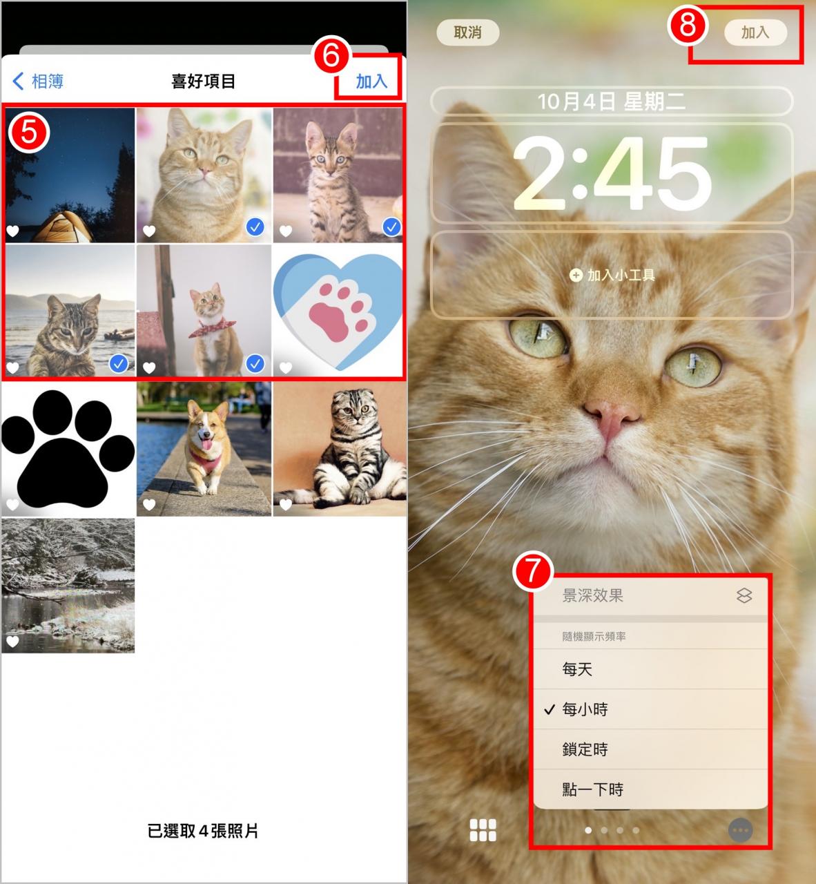 背景图片轮播设置教程，照片随机播放/点击更换