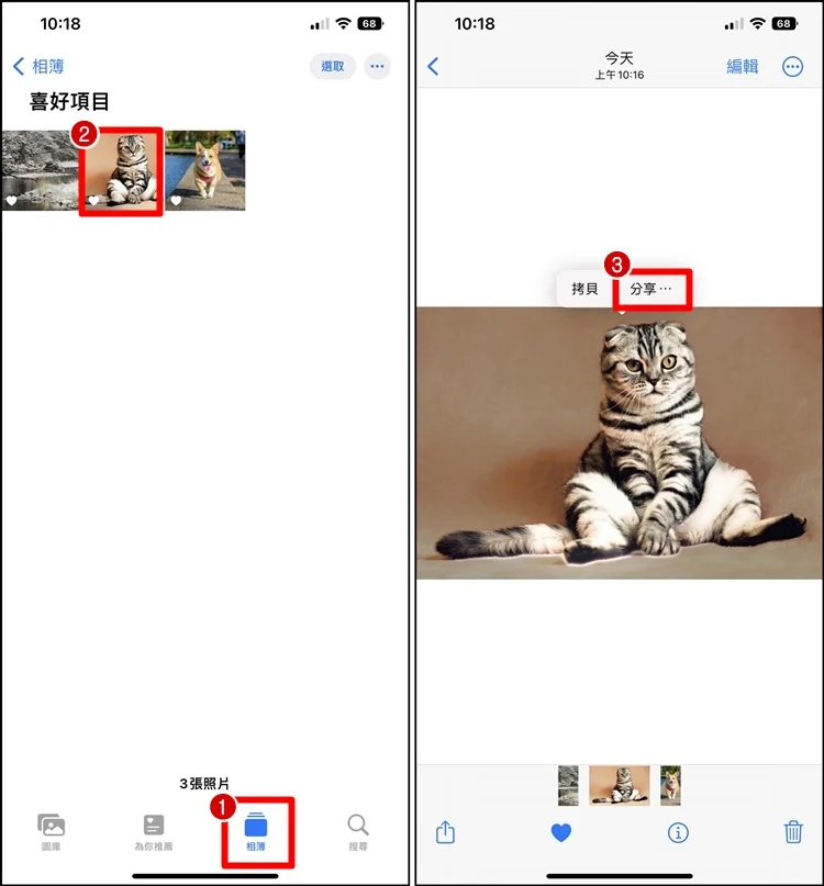 iPhone 一键快速去背教程！人物去背功能、分享照片