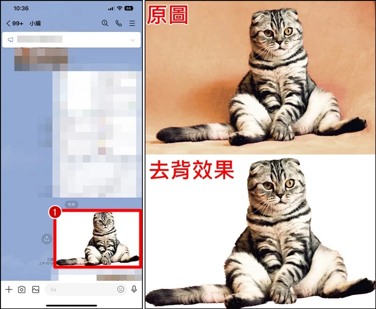 iPhone 一键快速去背教程！人物去背功能、分享照片