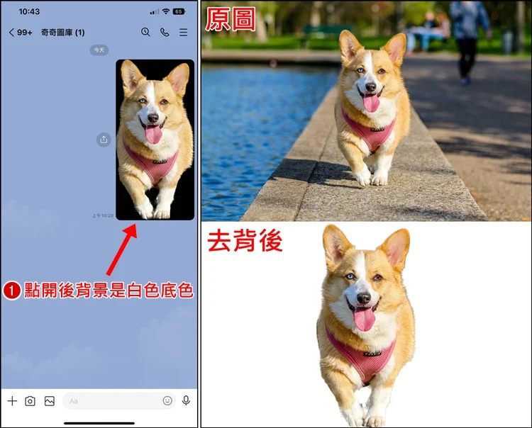 iPhone 一键快速去背教程！人物去背功能、分享照片