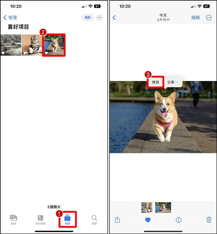 iPhone 一键快速去背教程！人物去背功能、分享照片