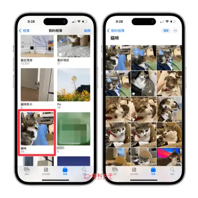 iPhone 相簿封面照片设置教程，将喜欢的照片或视频设为相簿封面 第2张