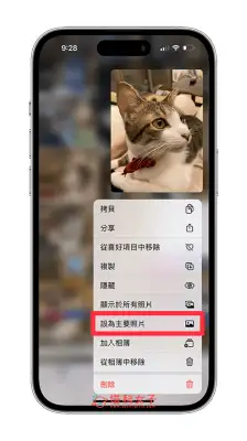 iPhone 相簿封面照片设置教程，将喜欢的照片或视频设为相簿封面 第3张