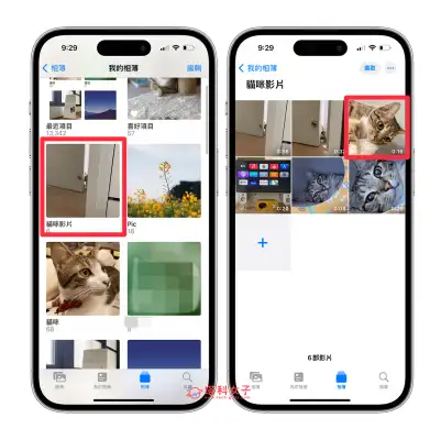 iPhone 相簿封面照片设置教程，将喜欢的照片或视频设为相簿封面 第5张