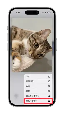 iPhone 相簿封面照片设置教程，将喜欢的照片或视频设为相簿封面 第6张