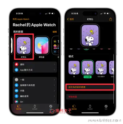 Apple Watch 更换錶面教程，4 个方法实现 墙纸更换需求 第3张
