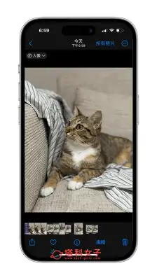 iPhone 15 人像模式新功能：一般拍照模式可拍人像照、快速将 照片转人像 第5张