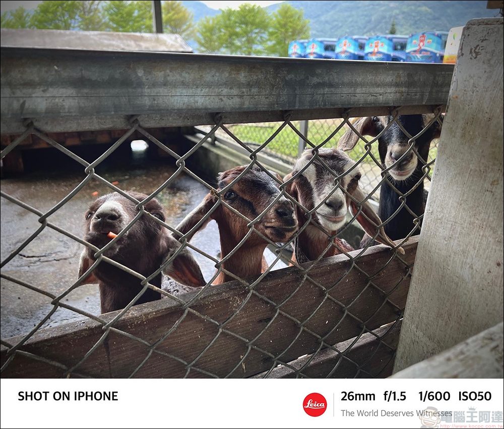 iPhone 如何用内置修图功能调出「徕卡味」？调色教程大公开！同场加映：徕卡浮水印捷径脚本 第18张