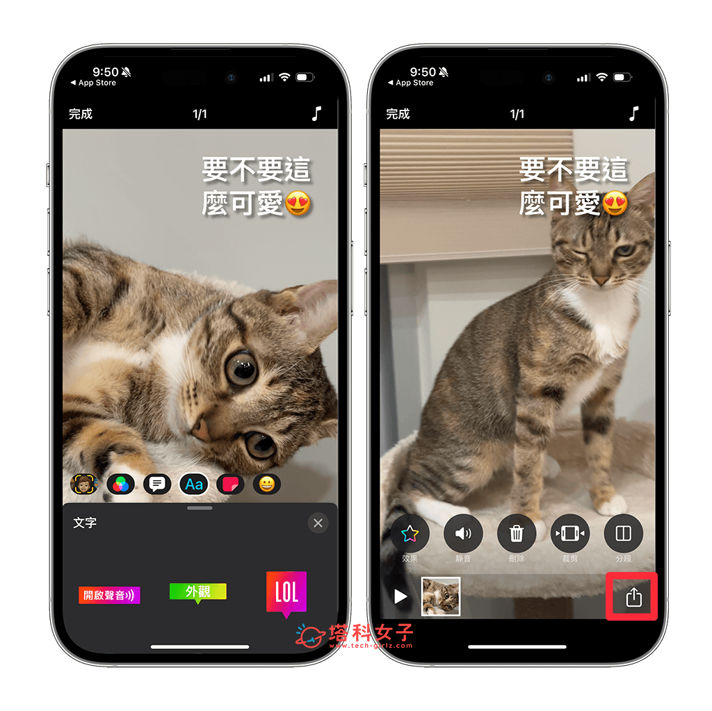 iPhone 视频加文字教程，2 个内置方法为视频加上文字效果！ 第6张