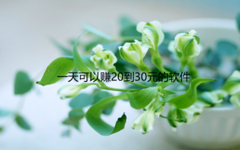 什么软件一天能挣20到30元，分享几款一天可以赚20到30元的软件