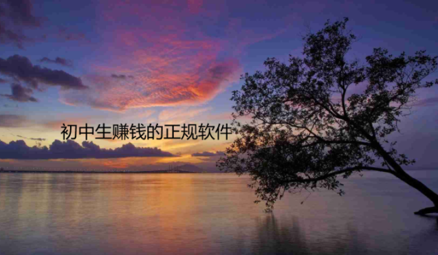 初中生赚钱的正规软件，合适14-15-16岁初中生的赚钱软件 第1张