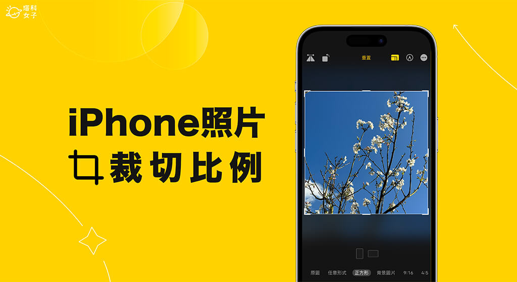 iPhone 照片裁切教程，快速在 裁剪照片及视频的比例尺寸 第1张