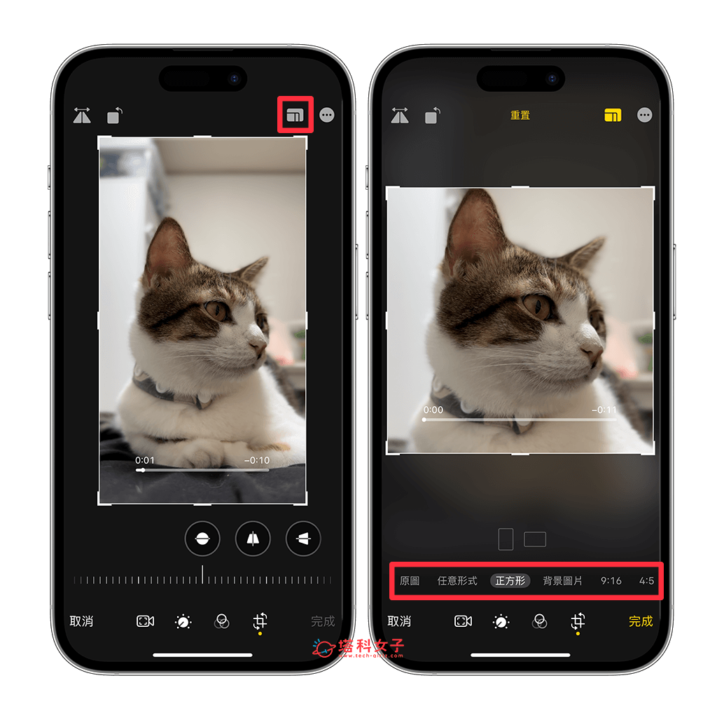 iPhone 照片裁切教程，快速在 裁剪照片及视频的比例尺寸 第8张