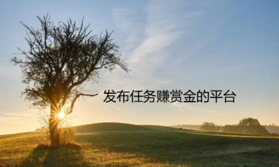 发布任务赚赏金的平台，2024选择这五个悬赏平台赚钱就对了 第1张