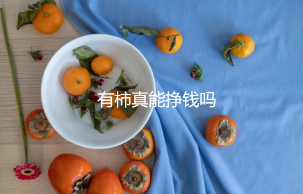 有柿真能挣钱吗？类似于有柿的赚钱app有哪些 第1张