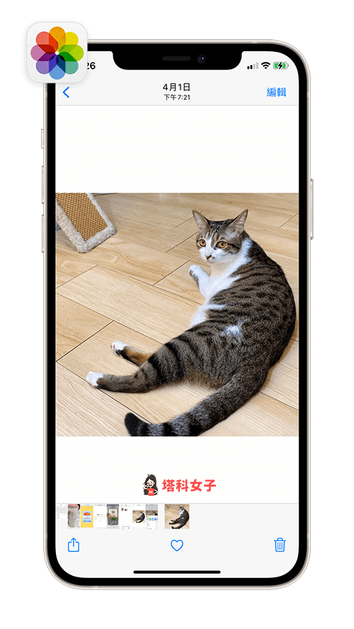 如何将 iOS 文件 App 内的照片或视频储存到「照片 App」 第5张
