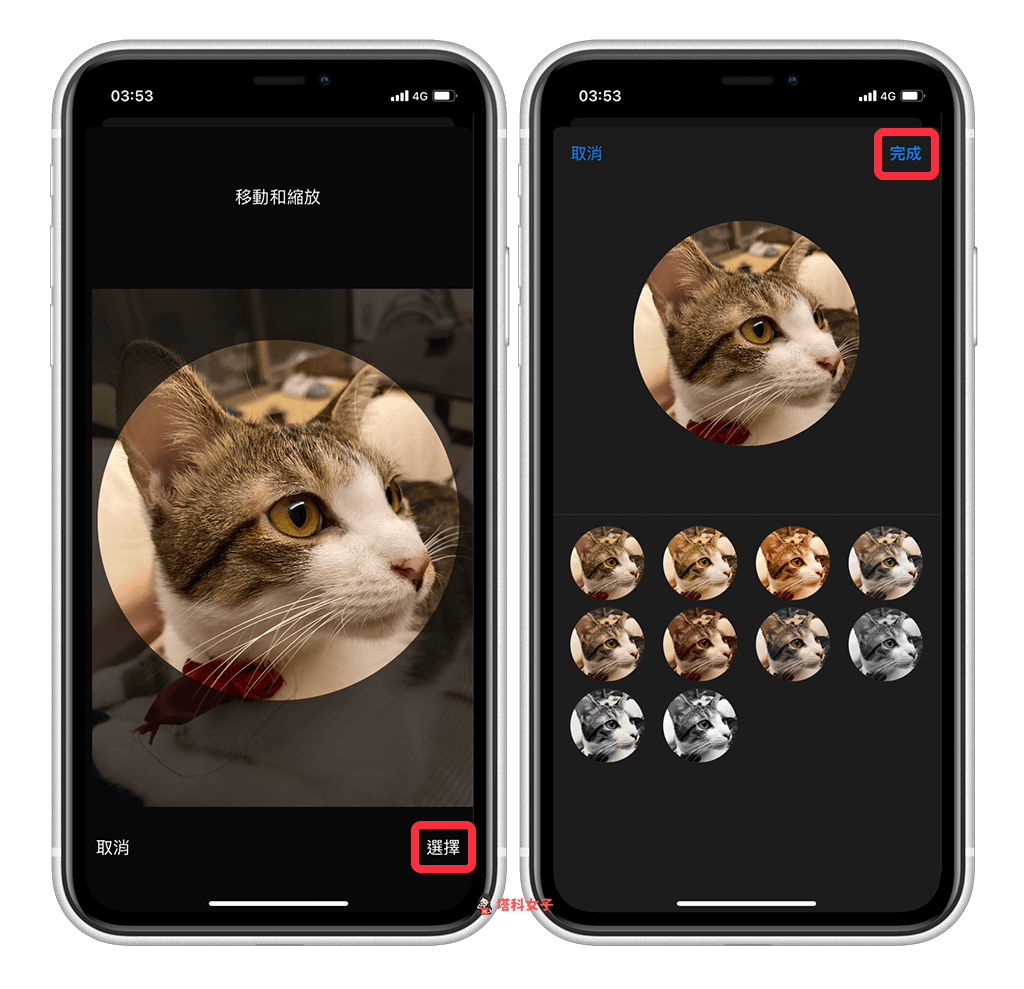 iPhone 来电画面如何设为「全萤幕联络人照片」？教你这方法 第4张