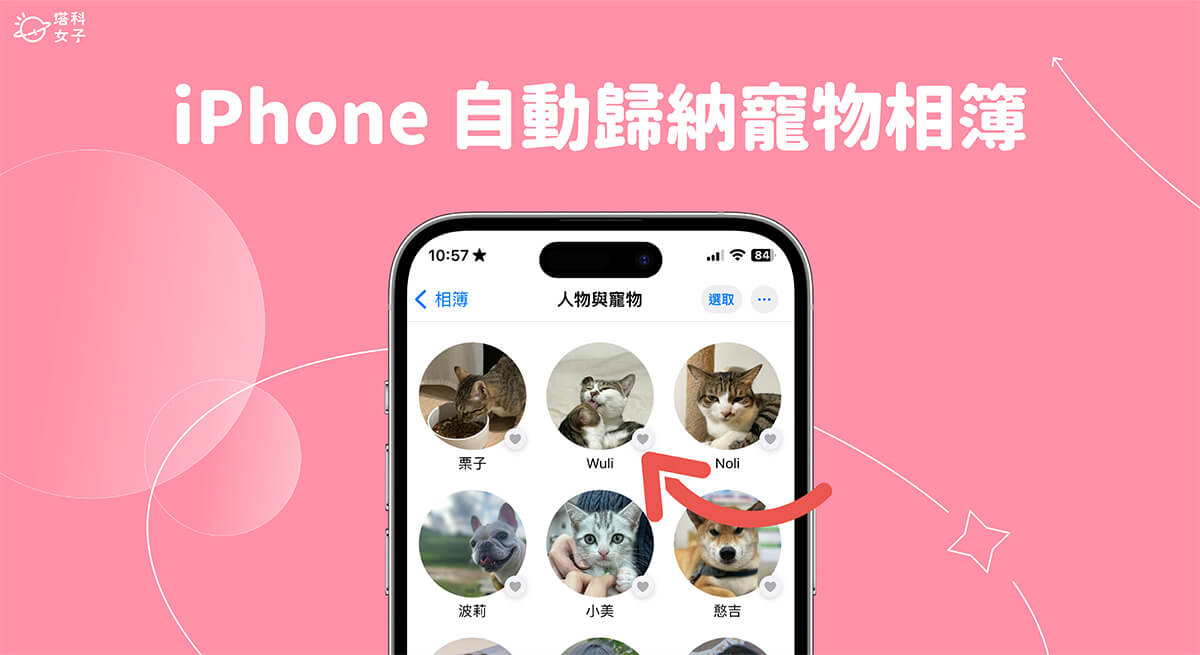 【最新】iOS 17 功能总整理，35+ 个 iPhone 用户必学 iOS17 新功能完整教程 第16张