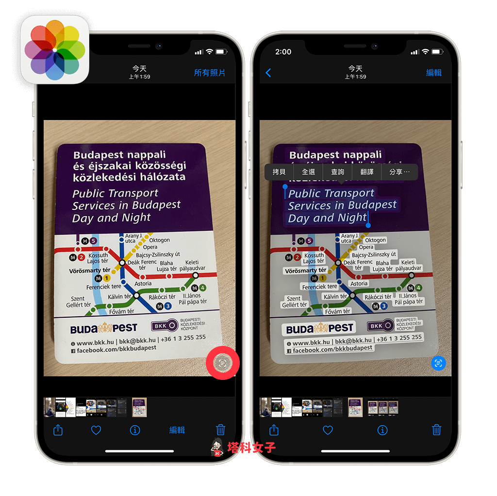 iPhone 原况文字怎么用？辨识照片的文字并複製或翻译 (iOS15) 第8张