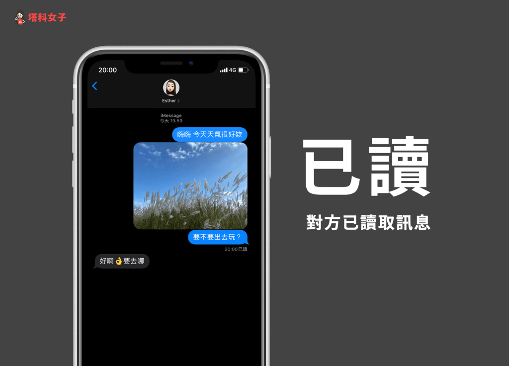 iPhone 消息 绿色、蓝色的差异？已送达、已读？简讯要钱吗？ 第5张