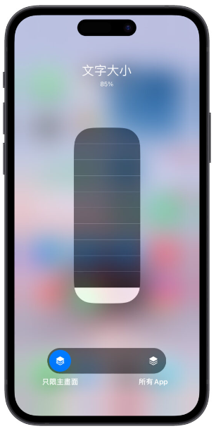 iPhone字体大小设置隐藏技巧，一键调整特定App、画面的字体大小 第7张