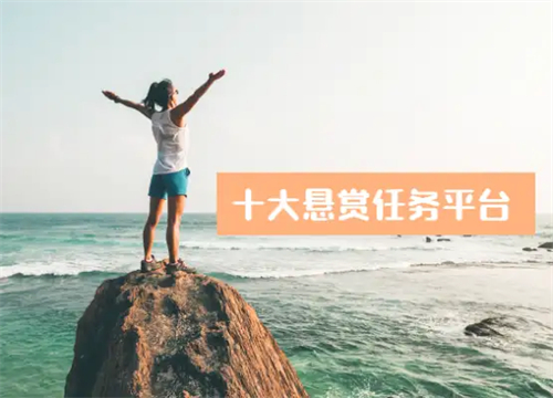 十大悬赏任务平台排行榜(目前最火的三款悬赏任务平台) 第1张