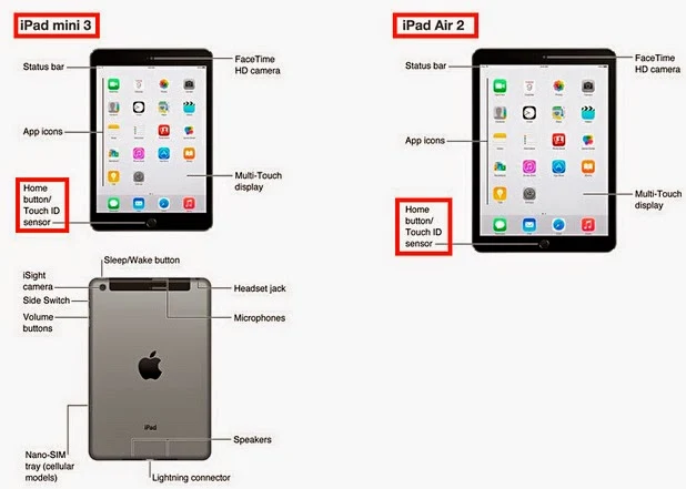 iPad Air 2和iPad Mini 3都有Touch ID指纹识别 第1张