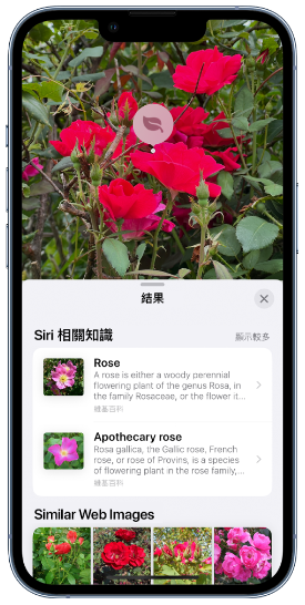 iOS 17图像查询应用更广泛，就连车用符号都看得懂 第1张