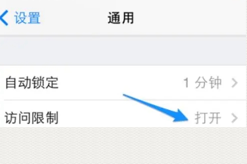 苹果手机appstore不见了怎么恢复？ 第3张