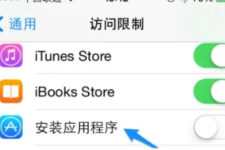 苹果手机appstore不见了怎么恢复？ 第4张