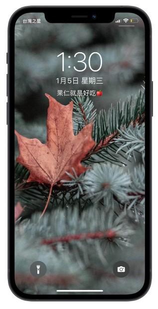 教你怎么把iphone手机解锁画面的农历日期换成自己设计的文字 第10张
