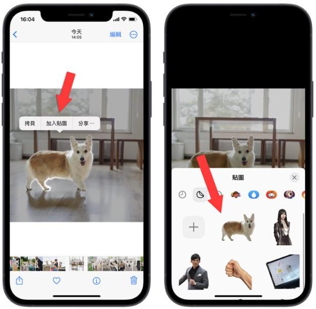 苹果iOS17系统照片与相机的新功能有哪些？一次看完9项所有新功能