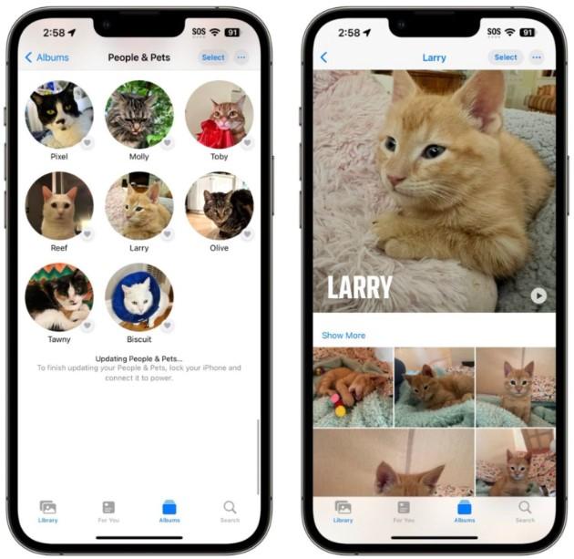 苹果iOS17系统照片与相机的新功能有哪些？一次看完9项所有新功能