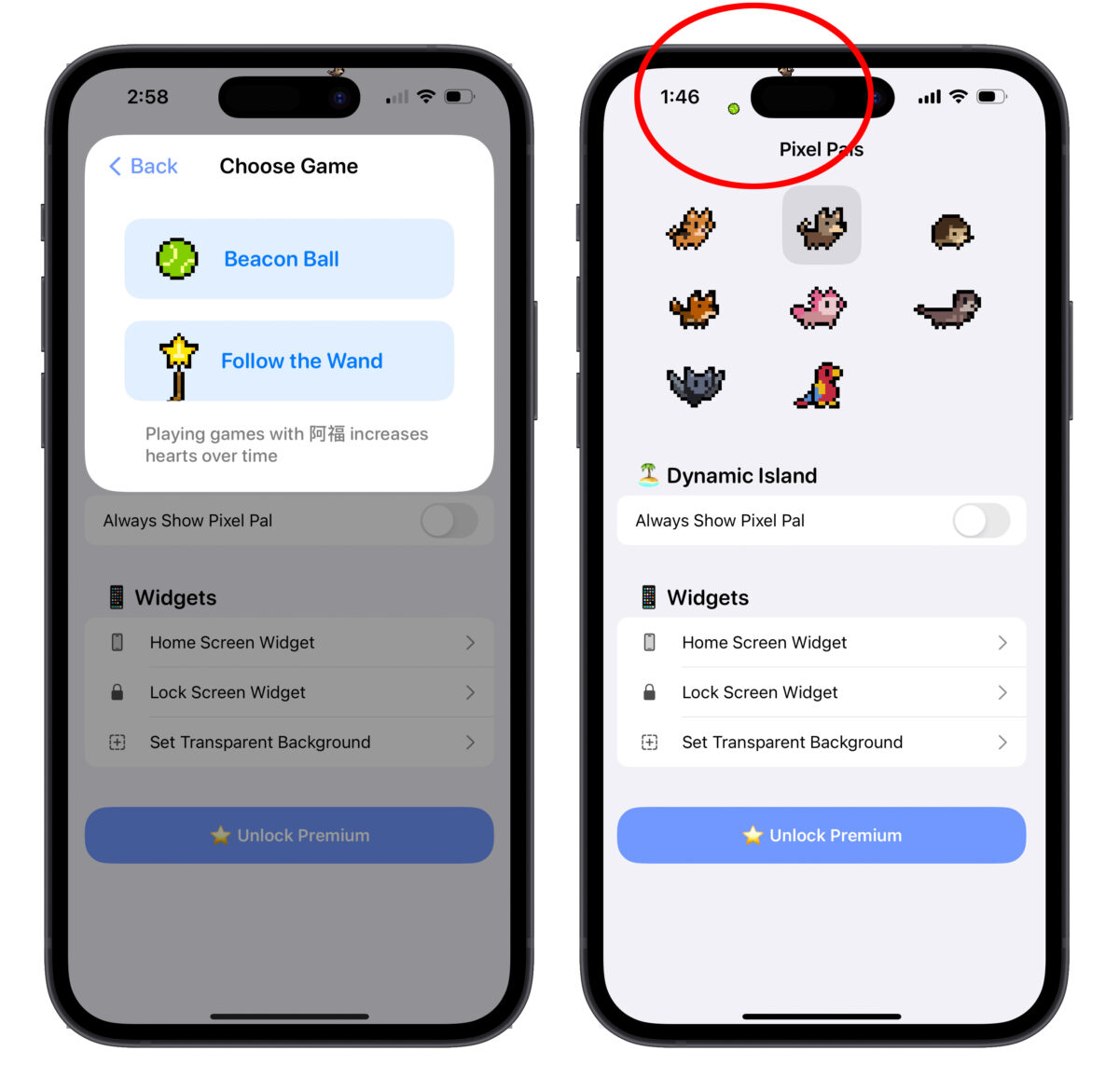 iPhone 养宠物 App 推荐：Pixel Pals 能养能互动、还能常驻在小工具上 第11张