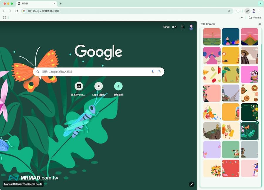 如何自定义谷歌 Chrome背景主题和自动更换 2