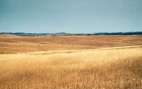 2025年赚零花钱的正规软件（2025正规赚零花不用看广告的赚钱软件）