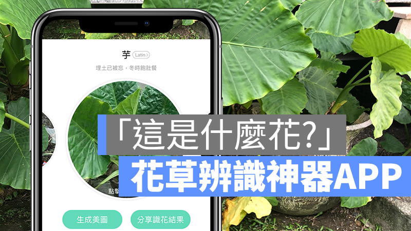 神奇的植物辨识、花朵辨识 App《形色》，拍照马上告诉你品种 第1张
